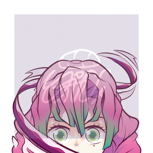 Kanroji Relfective Peeker