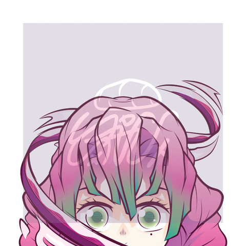 Kanroji Relfective Peeker