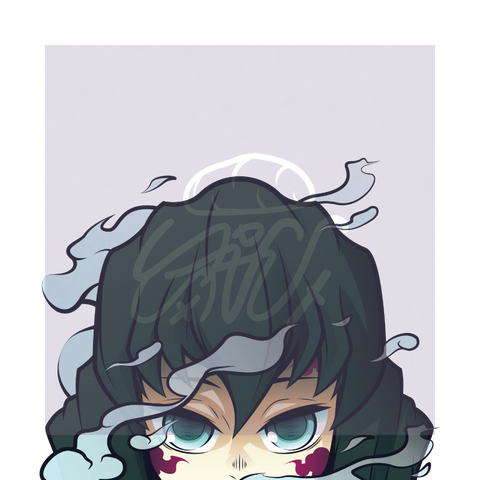 Muichi Reflective Peeker