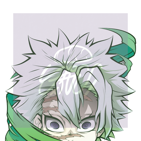 Shinazugawa Reflective Peeker